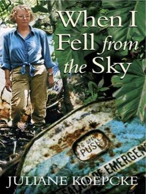 cover image of When I Fell From the Sky